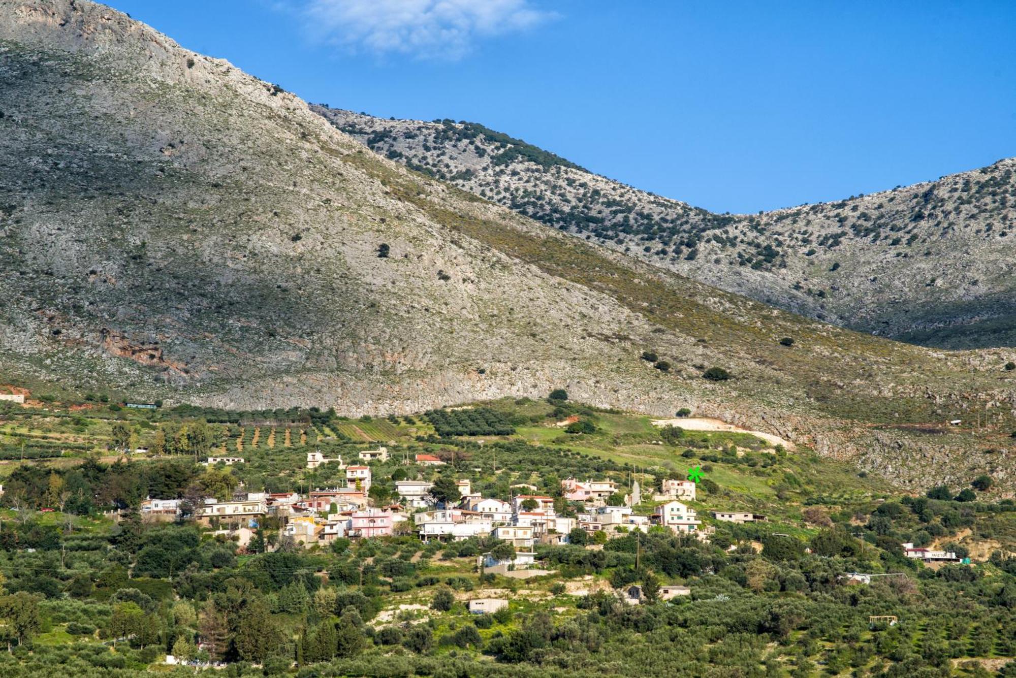 Villa Panoramic View In Olivegroves Héraklion